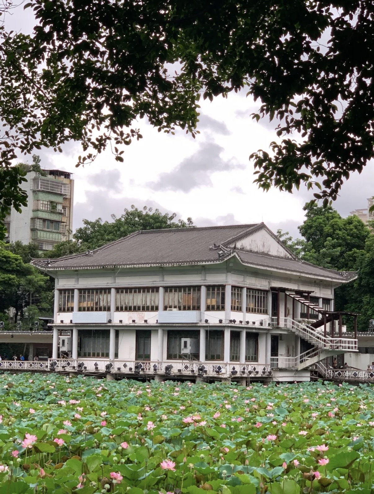 荔湾湖公园景点图片 18