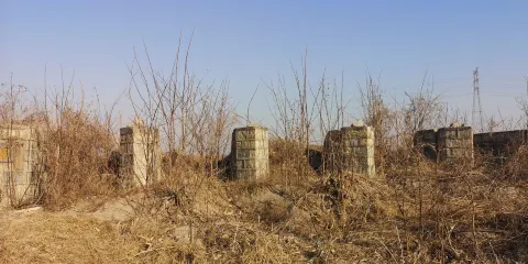 顧家營村唐河大壩遺址
