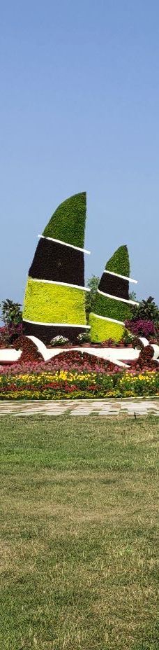 鸽子窝海鸥海滩-秦皇岛