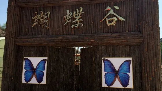 蝴蝶谷