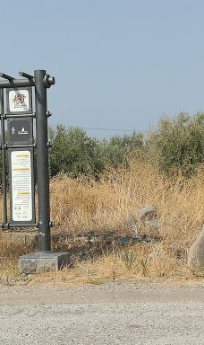 Majrase Nature Reserve-Emek HaYarden