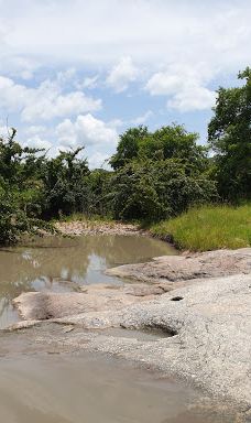Ruaha National Park INGRESSO-伊林加