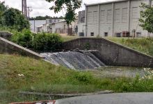 Federalsburg Gardens景点图片