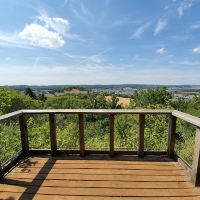 贝尔拉克斯图片