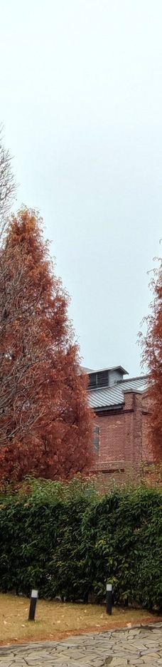 Noritake的森林-名古屋