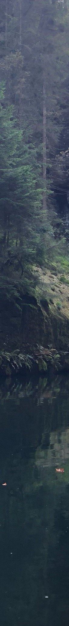 捷克瑞士国家公园-耶特克沃埃斯