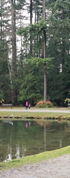 中央公园-本那比