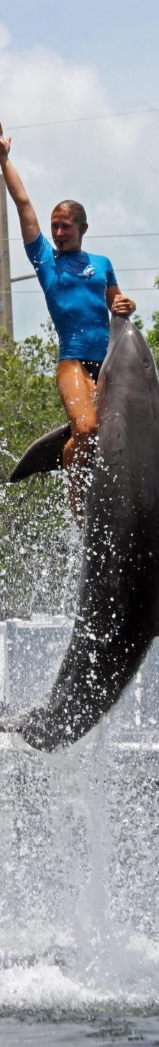 Theater of the Sea-伊斯拉莫拉达