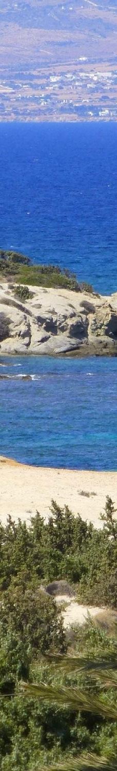 Cedar Forest of Alyko-纳克索斯