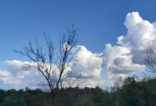 Parco Regionale di Montevecchia e della Valle del Curone景点图片
