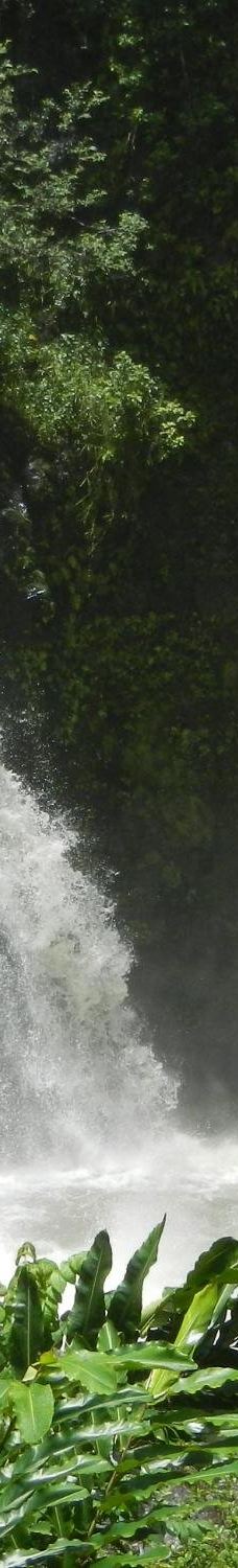 Upper Waikani Falls-茂宜县