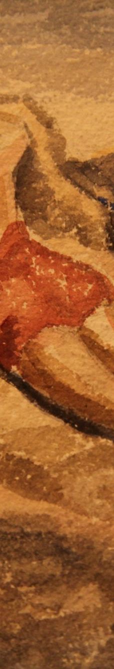 特罗姆瑟大学博物馆-特罗姆瑟