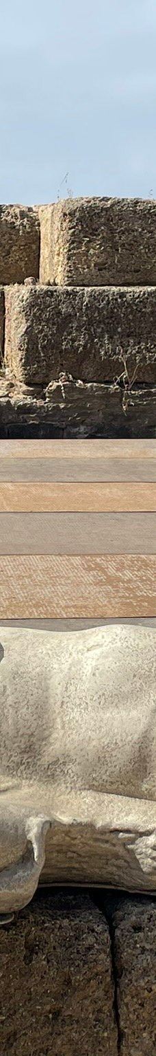 巴埃洛克劳狄亚-塔里法