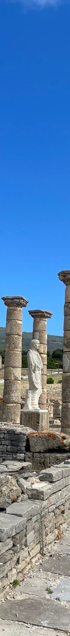 巴埃洛克劳狄亚-塔里法