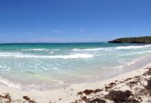 Navio Beach景点图片