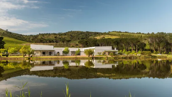 Morgenster Wine Farm and Olive Estate