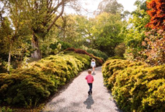 Mount Congreve House and Gardens景点图片