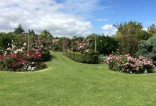 Brindabella Country Gardens Roses景点图片