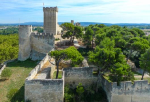 Chateau de Beaucaire景点图片