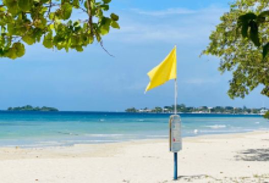 Long Bay Beach Park景点图片