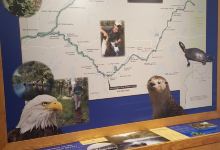 Namekagon River Visitor Center景点图片