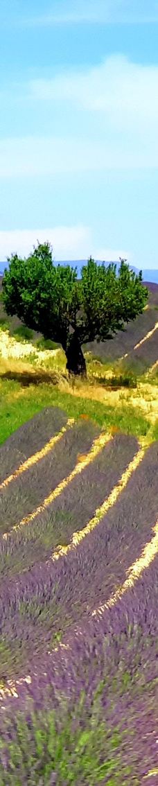 瓦朗索尔高原-瓦朗索勒