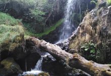 Cascade de la Planchette景点图片