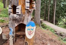 Waldspielplatz景点图片