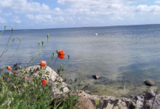 Garden. FHU. Sklep ogrodniczy购物图片