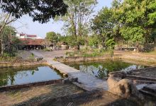 Chùa Hiến景点图片