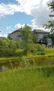 Rainbow Falls Park-切斯特梅尔