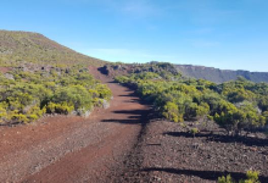 Piton Rick景点图片