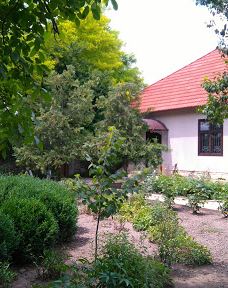 Casa-muzeu „Alexei Mateevici”-Zaim