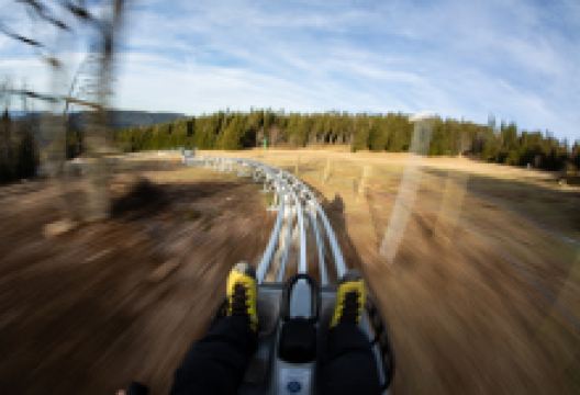 LUGE 4 SAISONS TRICKY TRACK景点图片
