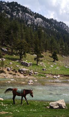 Savrun Stream-卡迪尔利