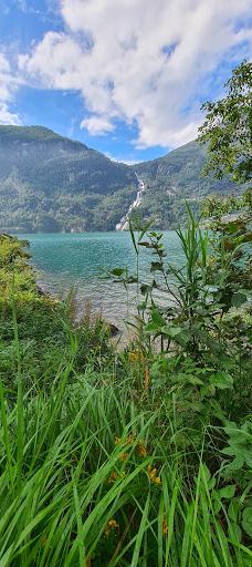 Tjørnadalsfossen-奥达