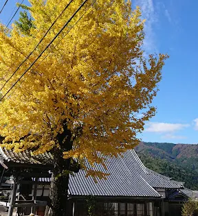 浄願寺