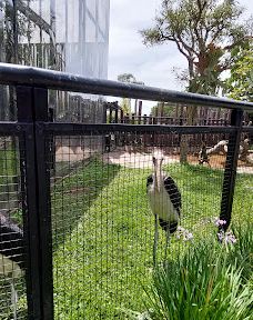 Lembang Park & Zoo-伦邦