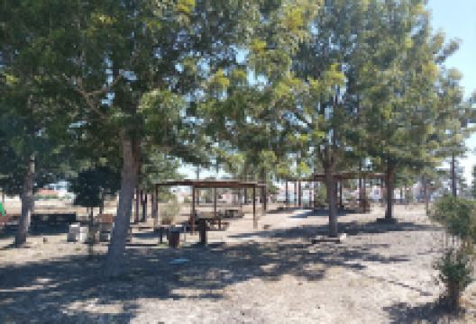 Playground and picnic景点图片