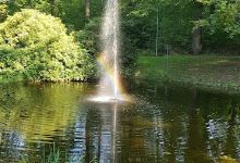 Wir sind Meerane!景点图片