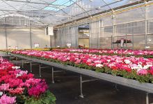 JARDINERIE BONCAP ORTHEZ购物图片