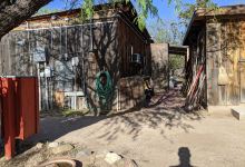 Tucson Wildlife Center景点图片