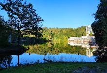 Parc Sovata景点图片