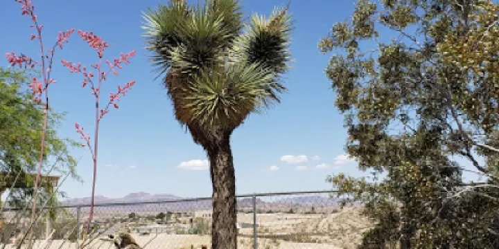 Desert Discovery Center
