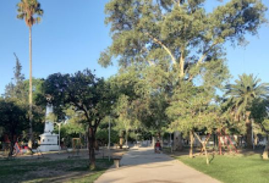 Plaza 25 Mayo景点图片