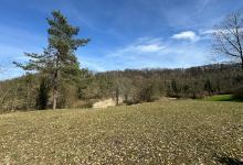 Glatt Naturschutzgebiet景点图片