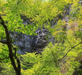 雲門山自然休養林