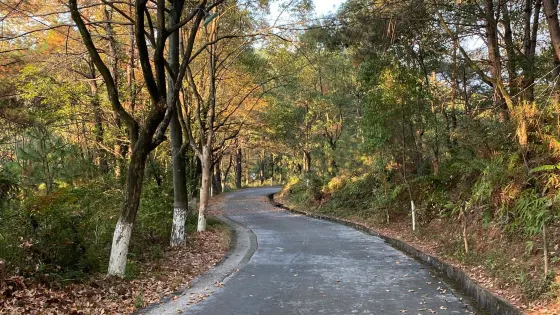 碧水公園