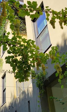 Healdsburg Plaza-希尔兹堡