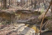 Crystal Springs Parks & Rec景点图片